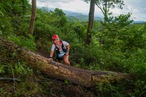 BIB: 
                            <button type="button" onclick="openModal(18513680)" class="btn btn-primary btn-sm float-right btn-popup" data-toggle="modal" data-target=".modal-high-quality">
                        <i class="fas fa-shopping-cart"></i> Add to Cart
                    </button>
                                            <button type="button" onclick="isThisMe(18513680, true)" class="btn btn-success btn-sm float-right btn-popup btn-isme hidden" data-toggle="tooltip" data-placement="bottom" title="นี่คือรูปของคุณใช่ไหม คลิกที่นี่เพื่อเอาเข้าอัลบั้ม">
                        <i class="fas fa-plus"></i> Add to album
                    </button>
                    <button type="button" onclick="isThisMe(18513680, false)" class="btn btn-warning btn-sm float-right btn-popup btn-isnotme hidden">
                        <i class="fas fa-ban"></i> Remove from album
                    </button>