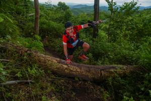 BIB: 
                            <button type="button" onclick="openModal(18513375)" class="btn btn-primary btn-sm float-right btn-popup" data-toggle="modal" data-target=".modal-high-quality">
                        <i class="fas fa-shopping-cart"></i> Add to Cart
                    </button>
                                            <button type="button" onclick="isThisMe(18513375, true)" class="btn btn-success btn-sm float-right btn-popup btn-isme hidden" data-toggle="tooltip" data-placement="bottom" title="นี่คือรูปของคุณใช่ไหม คลิกที่นี่เพื่อเอาเข้าอัลบั้ม">
                        <i class="fas fa-plus"></i> Add to album
                    </button>
                    <button type="button" onclick="isThisMe(18513375, false)" class="btn btn-warning btn-sm float-right btn-popup btn-isnotme hidden">
                        <i class="fas fa-ban"></i> Remove from album
                    </button>