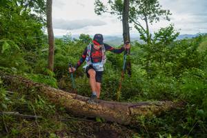 BIB: 
                            <button type="button" onclick="openModal(18513648)" class="btn btn-primary btn-sm float-right btn-popup" data-toggle="modal" data-target=".modal-high-quality">
                        <i class="fas fa-shopping-cart"></i> Add to Cart
                    </button>
                                            <button type="button" onclick="isThisMe(18513648, true)" class="btn btn-success btn-sm float-right btn-popup btn-isme hidden" data-toggle="tooltip" data-placement="bottom" title="นี่คือรูปของคุณใช่ไหม คลิกที่นี่เพื่อเอาเข้าอัลบั้ม">
                        <i class="fas fa-plus"></i> Add to album
                    </button>
                    <button type="button" onclick="isThisMe(18513648, false)" class="btn btn-warning btn-sm float-right btn-popup btn-isnotme hidden">
                        <i class="fas fa-ban"></i> Remove from album
                    </button>