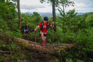 BIB: 
                            <button type="button" onclick="openModal(18513645)" class="btn btn-primary btn-sm float-right btn-popup" data-toggle="modal" data-target=".modal-high-quality">
                        <i class="fas fa-shopping-cart"></i> Add to Cart
                    </button>
                                            <button type="button" onclick="isThisMe(18513645, true)" class="btn btn-success btn-sm float-right btn-popup btn-isme hidden" data-toggle="tooltip" data-placement="bottom" title="นี่คือรูปของคุณใช่ไหม คลิกที่นี่เพื่อเอาเข้าอัลบั้ม">
                        <i class="fas fa-plus"></i> Add to album
                    </button>
                    <button type="button" onclick="isThisMe(18513645, false)" class="btn btn-warning btn-sm float-right btn-popup btn-isnotme hidden">
                        <i class="fas fa-ban"></i> Remove from album
                    </button>