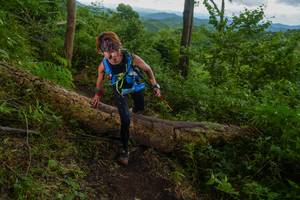 BIB: 
                            <button type="button" onclick="openModal(18513413)" class="btn btn-primary btn-sm float-right btn-popup" data-toggle="modal" data-target=".modal-high-quality">
                        <i class="fas fa-shopping-cart"></i> Add to Cart
                    </button>
                                            <button type="button" onclick="isThisMe(18513413, true)" class="btn btn-success btn-sm float-right btn-popup btn-isme hidden" data-toggle="tooltip" data-placement="bottom" title="นี่คือรูปของคุณใช่ไหม คลิกที่นี่เพื่อเอาเข้าอัลบั้ม">
                        <i class="fas fa-plus"></i> Add to album
                    </button>
                    <button type="button" onclick="isThisMe(18513413, false)" class="btn btn-warning btn-sm float-right btn-popup btn-isnotme hidden">
                        <i class="fas fa-ban"></i> Remove from album
                    </button>