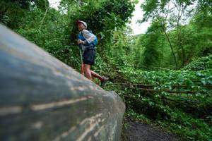 BIB: 
                            <button type="button" onclick="openModal(18513050)" class="btn btn-primary btn-sm float-right btn-popup" data-toggle="modal" data-target=".modal-high-quality">
                        <i class="fas fa-shopping-cart"></i> Add to Cart
                    </button>
                                            <button type="button" onclick="isThisMe(18513050, true)" class="btn btn-success btn-sm float-right btn-popup btn-isme hidden" data-toggle="tooltip" data-placement="bottom" title="นี่คือรูปของคุณใช่ไหม คลิกที่นี่เพื่อเอาเข้าอัลบั้ม">
                        <i class="fas fa-plus"></i> Add to album
                    </button>
                    <button type="button" onclick="isThisMe(18513050, false)" class="btn btn-warning btn-sm float-right btn-popup btn-isnotme hidden">
                        <i class="fas fa-ban"></i> Remove from album
                    </button>