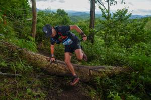 BIB: 
                            <button type="button" onclick="openModal(18513464)" class="btn btn-primary btn-sm float-right btn-popup" data-toggle="modal" data-target=".modal-high-quality">
                        <i class="fas fa-shopping-cart"></i> Add to Cart
                    </button>
                                            <button type="button" onclick="isThisMe(18513464, true)" class="btn btn-success btn-sm float-right btn-popup btn-isme hidden" data-toggle="tooltip" data-placement="bottom" title="นี่คือรูปของคุณใช่ไหม คลิกที่นี่เพื่อเอาเข้าอัลบั้ม">
                        <i class="fas fa-plus"></i> Add to album
                    </button>
                    <button type="button" onclick="isThisMe(18513464, false)" class="btn btn-warning btn-sm float-right btn-popup btn-isnotme hidden">
                        <i class="fas fa-ban"></i> Remove from album
                    </button>