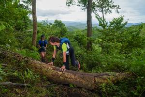 BIB: 
                            <button type="button" onclick="openModal(18513666)" class="btn btn-primary btn-sm float-right btn-popup" data-toggle="modal" data-target=".modal-high-quality">
                        <i class="fas fa-shopping-cart"></i> Add to Cart
                    </button>
                                            <button type="button" onclick="isThisMe(18513666, true)" class="btn btn-success btn-sm float-right btn-popup btn-isme hidden" data-toggle="tooltip" data-placement="bottom" title="นี่คือรูปของคุณใช่ไหม คลิกที่นี่เพื่อเอาเข้าอัลบั้ม">
                        <i class="fas fa-plus"></i> Add to album
                    </button>
                    <button type="button" onclick="isThisMe(18513666, false)" class="btn btn-warning btn-sm float-right btn-popup btn-isnotme hidden">
                        <i class="fas fa-ban"></i> Remove from album
                    </button>