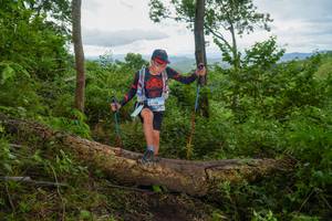 BIB: 
                            <button type="button" onclick="openModal(18513649)" class="btn btn-primary btn-sm float-right btn-popup" data-toggle="modal" data-target=".modal-high-quality">
                        <i class="fas fa-shopping-cart"></i> Add to Cart
                    </button>
                                            <button type="button" onclick="isThisMe(18513649, true)" class="btn btn-success btn-sm float-right btn-popup btn-isme hidden" data-toggle="tooltip" data-placement="bottom" title="นี่คือรูปของคุณใช่ไหม คลิกที่นี่เพื่อเอาเข้าอัลบั้ม">
                        <i class="fas fa-plus"></i> Add to album
                    </button>
                    <button type="button" onclick="isThisMe(18513649, false)" class="btn btn-warning btn-sm float-right btn-popup btn-isnotme hidden">
                        <i class="fas fa-ban"></i> Remove from album
                    </button>