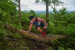 BIB: 
                            <button type="button" onclick="openModal(18513712)" class="btn btn-primary btn-sm float-right btn-popup" data-toggle="modal" data-target=".modal-high-quality">
                        <i class="fas fa-shopping-cart"></i> Add to Cart
                    </button>
                                            <button type="button" onclick="isThisMe(18513712, true)" class="btn btn-success btn-sm float-right btn-popup btn-isme hidden" data-toggle="tooltip" data-placement="bottom" title="นี่คือรูปของคุณใช่ไหม คลิกที่นี่เพื่อเอาเข้าอัลบั้ม">
                        <i class="fas fa-plus"></i> Add to album
                    </button>
                    <button type="button" onclick="isThisMe(18513712, false)" class="btn btn-warning btn-sm float-right btn-popup btn-isnotme hidden">
                        <i class="fas fa-ban"></i> Remove from album
                    </button>