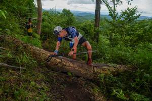 BIB: 
                            <button type="button" onclick="openModal(18513499)" class="btn btn-primary btn-sm float-right btn-popup" data-toggle="modal" data-target=".modal-high-quality">
                        <i class="fas fa-shopping-cart"></i> Add to Cart
                    </button>
                                            <button type="button" onclick="isThisMe(18513499, true)" class="btn btn-success btn-sm float-right btn-popup btn-isme hidden" data-toggle="tooltip" data-placement="bottom" title="นี่คือรูปของคุณใช่ไหม คลิกที่นี่เพื่อเอาเข้าอัลบั้ม">
                        <i class="fas fa-plus"></i> Add to album
                    </button>
                    <button type="button" onclick="isThisMe(18513499, false)" class="btn btn-warning btn-sm float-right btn-popup btn-isnotme hidden">
                        <i class="fas fa-ban"></i> Remove from album
                    </button>