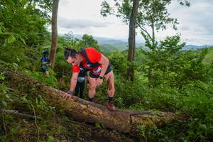 BIB: 
                            <button type="button" onclick="openModal(18513661)" class="btn btn-primary btn-sm float-right btn-popup" data-toggle="modal" data-target=".modal-high-quality">
                        <i class="fas fa-shopping-cart"></i> Add to Cart
                    </button>
                                            <button type="button" onclick="isThisMe(18513661, true)" class="btn btn-success btn-sm float-right btn-popup btn-isme hidden" data-toggle="tooltip" data-placement="bottom" title="นี่คือรูปของคุณใช่ไหม คลิกที่นี่เพื่อเอาเข้าอัลบั้ม">
                        <i class="fas fa-plus"></i> Add to album
                    </button>
                    <button type="button" onclick="isThisMe(18513661, false)" class="btn btn-warning btn-sm float-right btn-popup btn-isnotme hidden">
                        <i class="fas fa-ban"></i> Remove from album
                    </button>