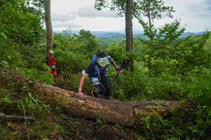 BIB: 
                            <button type="button" onclick="openModal(18513746)" class="btn btn-primary btn-sm float-right btn-popup" data-toggle="modal" data-target=".modal-high-quality">
                        <i class="fas fa-shopping-cart"></i> Add to Cart
                    </button>
                                            <button type="button" onclick="isThisMe(18513746, true)" class="btn btn-success btn-sm float-right btn-popup btn-isme hidden" data-toggle="tooltip" data-placement="bottom" title="นี่คือรูปของคุณใช่ไหม คลิกที่นี่เพื่อเอาเข้าอัลบั้ม">
                        <i class="fas fa-plus"></i> Add to album
                    </button>
                    <button type="button" onclick="isThisMe(18513746, false)" class="btn btn-warning btn-sm float-right btn-popup btn-isnotme hidden">
                        <i class="fas fa-ban"></i> Remove from album
                    </button>