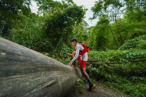 BIB: 
                            <button type="button" onclick="openModal(18510997)" class="btn btn-primary btn-sm float-right btn-popup" data-toggle="modal" data-target=".modal-high-quality">
                        <i class="fas fa-shopping-cart"></i> Add to Cart
                    </button>
                                            <button type="button" onclick="isThisMe(18510997, true)" class="btn btn-success btn-sm float-right btn-popup btn-isme hidden" data-toggle="tooltip" data-placement="bottom" title="นี่คือรูปของคุณใช่ไหม คลิกที่นี่เพื่อเอาเข้าอัลบั้ม">
                        <i class="fas fa-plus"></i> Add to album
                    </button>
                    <button type="button" onclick="isThisMe(18510997, false)" class="btn btn-warning btn-sm float-right btn-popup btn-isnotme hidden">
                        <i class="fas fa-ban"></i> Remove from album
                    </button>