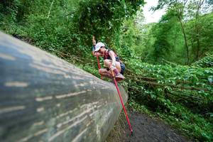 BIB: , 
                            <button type="button" onclick="openModal(18513098)" class="btn btn-primary btn-sm float-right btn-popup" data-toggle="modal" data-target=".modal-high-quality">
                        <i class="fas fa-shopping-cart"></i> Add to Cart
                    </button>
                                            <button type="button" onclick="isThisMe(18513098, true)" class="btn btn-success btn-sm float-right btn-popup btn-isme hidden" data-toggle="tooltip" data-placement="bottom" title="นี่คือรูปของคุณใช่ไหม คลิกที่นี่เพื่อเอาเข้าอัลบั้ม">
                        <i class="fas fa-plus"></i> Add to album
                    </button>
                    <button type="button" onclick="isThisMe(18513098, false)" class="btn btn-warning btn-sm float-right btn-popup btn-isnotme hidden">
                        <i class="fas fa-ban"></i> Remove from album
                    </button>