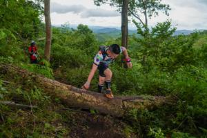 BIB: 
                            <button type="button" onclick="openModal(18513540)" class="btn btn-primary btn-sm float-right btn-popup" data-toggle="modal" data-target=".modal-high-quality">
                        <i class="fas fa-shopping-cart"></i> Add to Cart
                    </button>
                                            <button type="button" onclick="isThisMe(18513540, true)" class="btn btn-success btn-sm float-right btn-popup btn-isme hidden" data-toggle="tooltip" data-placement="bottom" title="นี่คือรูปของคุณใช่ไหม คลิกที่นี่เพื่อเอาเข้าอัลบั้ม">
                        <i class="fas fa-plus"></i> Add to album
                    </button>
                    <button type="button" onclick="isThisMe(18513540, false)" class="btn btn-warning btn-sm float-right btn-popup btn-isnotme hidden">
                        <i class="fas fa-ban"></i> Remove from album
                    </button>