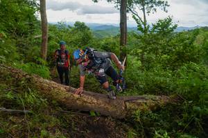 BIB: 
                            <button type="button" onclick="openModal(18513564)" class="btn btn-primary btn-sm float-right btn-popup" data-toggle="modal" data-target=".modal-high-quality">
                        <i class="fas fa-shopping-cart"></i> Add to Cart
                    </button>
                                            <button type="button" onclick="isThisMe(18513564, true)" class="btn btn-success btn-sm float-right btn-popup btn-isme hidden" data-toggle="tooltip" data-placement="bottom" title="นี่คือรูปของคุณใช่ไหม คลิกที่นี่เพื่อเอาเข้าอัลบั้ม">
                        <i class="fas fa-plus"></i> Add to album
                    </button>
                    <button type="button" onclick="isThisMe(18513564, false)" class="btn btn-warning btn-sm float-right btn-popup btn-isnotme hidden">
                        <i class="fas fa-ban"></i> Remove from album
                    </button>