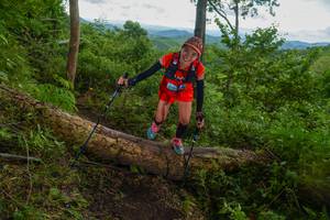 BIB: 
                            <button type="button" onclick="openModal(18513435)" class="btn btn-primary btn-sm float-right btn-popup" data-toggle="modal" data-target=".modal-high-quality">
                        <i class="fas fa-shopping-cart"></i> Add to Cart
                    </button>
                                            <button type="button" onclick="isThisMe(18513435, true)" class="btn btn-success btn-sm float-right btn-popup btn-isme hidden" data-toggle="tooltip" data-placement="bottom" title="นี่คือรูปของคุณใช่ไหม คลิกที่นี่เพื่อเอาเข้าอัลบั้ม">
                        <i class="fas fa-plus"></i> Add to album
                    </button>
                    <button type="button" onclick="isThisMe(18513435, false)" class="btn btn-warning btn-sm float-right btn-popup btn-isnotme hidden">
                        <i class="fas fa-ban"></i> Remove from album
                    </button>