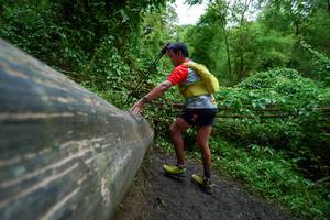 BIB: 
                            <button type="button" onclick="openModal(18513042)" class="btn btn-primary btn-sm float-right btn-popup" data-toggle="modal" data-target=".modal-high-quality">
                        <i class="fas fa-shopping-cart"></i> Add to Cart
                    </button>
                                            <button type="button" onclick="isThisMe(18513042, true)" class="btn btn-success btn-sm float-right btn-popup btn-isme hidden" data-toggle="tooltip" data-placement="bottom" title="นี่คือรูปของคุณใช่ไหม คลิกที่นี่เพื่อเอาเข้าอัลบั้ม">
                        <i class="fas fa-plus"></i> Add to album
                    </button>
                    <button type="button" onclick="isThisMe(18513042, false)" class="btn btn-warning btn-sm float-right btn-popup btn-isnotme hidden">
                        <i class="fas fa-ban"></i> Remove from album
                    </button>