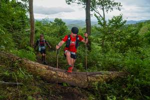 BIB: 
                            <button type="button" onclick="openModal(18513644)" class="btn btn-primary btn-sm float-right btn-popup" data-toggle="modal" data-target=".modal-high-quality">
                        <i class="fas fa-shopping-cart"></i> Add to Cart
                    </button>
                                            <button type="button" onclick="isThisMe(18513644, true)" class="btn btn-success btn-sm float-right btn-popup btn-isme hidden" data-toggle="tooltip" data-placement="bottom" title="นี่คือรูปของคุณใช่ไหม คลิกที่นี่เพื่อเอาเข้าอัลบั้ม">
                        <i class="fas fa-plus"></i> Add to album
                    </button>
                    <button type="button" onclick="isThisMe(18513644, false)" class="btn btn-warning btn-sm float-right btn-popup btn-isnotme hidden">
                        <i class="fas fa-ban"></i> Remove from album
                    </button>