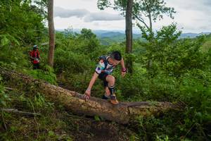 BIB: 
                            <button type="button" onclick="openModal(18513539)" class="btn btn-primary btn-sm float-right btn-popup" data-toggle="modal" data-target=".modal-high-quality">
                        <i class="fas fa-shopping-cart"></i> Add to Cart
                    </button>
                                            <button type="button" onclick="isThisMe(18513539, true)" class="btn btn-success btn-sm float-right btn-popup btn-isme hidden" data-toggle="tooltip" data-placement="bottom" title="นี่คือรูปของคุณใช่ไหม คลิกที่นี่เพื่อเอาเข้าอัลบั้ม">
                        <i class="fas fa-plus"></i> Add to album
                    </button>
                    <button type="button" onclick="isThisMe(18513539, false)" class="btn btn-warning btn-sm float-right btn-popup btn-isnotme hidden">
                        <i class="fas fa-ban"></i> Remove from album
                    </button>