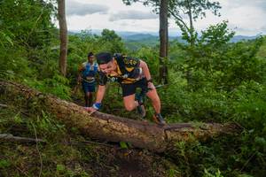 BIB: 
                            <button type="button" onclick="openModal(18513504)" class="btn btn-primary btn-sm float-right btn-popup" data-toggle="modal" data-target=".modal-high-quality">
                        <i class="fas fa-shopping-cart"></i> Add to Cart
                    </button>
                                            <button type="button" onclick="isThisMe(18513504, true)" class="btn btn-success btn-sm float-right btn-popup btn-isme hidden" data-toggle="tooltip" data-placement="bottom" title="นี่คือรูปของคุณใช่ไหม คลิกที่นี่เพื่อเอาเข้าอัลบั้ม">
                        <i class="fas fa-plus"></i> Add to album
                    </button>
                    <button type="button" onclick="isThisMe(18513504, false)" class="btn btn-warning btn-sm float-right btn-popup btn-isnotme hidden">
                        <i class="fas fa-ban"></i> Remove from album
                    </button>