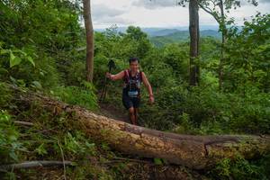 BIB: 
                            <button type="button" onclick="openModal(18513708)" class="btn btn-primary btn-sm float-right btn-popup" data-toggle="modal" data-target=".modal-high-quality">
                        <i class="fas fa-shopping-cart"></i> Add to Cart
                    </button>
                                            <button type="button" onclick="isThisMe(18513708, true)" class="btn btn-success btn-sm float-right btn-popup btn-isme hidden" data-toggle="tooltip" data-placement="bottom" title="นี่คือรูปของคุณใช่ไหม คลิกที่นี่เพื่อเอาเข้าอัลบั้ม">
                        <i class="fas fa-plus"></i> Add to album
                    </button>
                    <button type="button" onclick="isThisMe(18513708, false)" class="btn btn-warning btn-sm float-right btn-popup btn-isnotme hidden">
                        <i class="fas fa-ban"></i> Remove from album
                    </button>