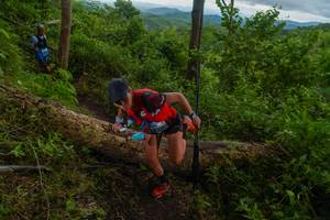 BIB: 
                            <button type="button" onclick="openModal(18513260)" class="btn btn-primary btn-sm float-right btn-popup" data-toggle="modal" data-target=".modal-high-quality">
                        <i class="fas fa-shopping-cart"></i> Add to Cart
                    </button>
                                            <button type="button" onclick="isThisMe(18513260, true)" class="btn btn-success btn-sm float-right btn-popup btn-isme hidden" data-toggle="tooltip" data-placement="bottom" title="นี่คือรูปของคุณใช่ไหม คลิกที่นี่เพื่อเอาเข้าอัลบั้ม">
                        <i class="fas fa-plus"></i> Add to album
                    </button>
                    <button type="button" onclick="isThisMe(18513260, false)" class="btn btn-warning btn-sm float-right btn-popup btn-isnotme hidden">
                        <i class="fas fa-ban"></i> Remove from album
                    </button>