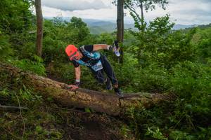 BIB: 
                            <button type="button" onclick="openModal(18513628)" class="btn btn-primary btn-sm float-right btn-popup" data-toggle="modal" data-target=".modal-high-quality">
                        <i class="fas fa-shopping-cart"></i> Add to Cart
                    </button>
                                            <button type="button" onclick="isThisMe(18513628, true)" class="btn btn-success btn-sm float-right btn-popup btn-isme hidden" data-toggle="tooltip" data-placement="bottom" title="นี่คือรูปของคุณใช่ไหม คลิกที่นี่เพื่อเอาเข้าอัลบั้ม">
                        <i class="fas fa-plus"></i> Add to album
                    </button>
                    <button type="button" onclick="isThisMe(18513628, false)" class="btn btn-warning btn-sm float-right btn-popup btn-isnotme hidden">
                        <i class="fas fa-ban"></i> Remove from album
                    </button>