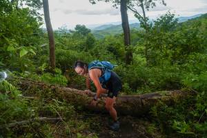 BIB: 
                            <button type="button" onclick="openModal(18513138)" class="btn btn-primary btn-sm float-right btn-popup" data-toggle="modal" data-target=".modal-high-quality">
                        <i class="fas fa-shopping-cart"></i> Add to Cart
                    </button>
                                            <button type="button" onclick="isThisMe(18513138, true)" class="btn btn-success btn-sm float-right btn-popup btn-isme hidden" data-toggle="tooltip" data-placement="bottom" title="นี่คือรูปของคุณใช่ไหม คลิกที่นี่เพื่อเอาเข้าอัลบั้ม">
                        <i class="fas fa-plus"></i> Add to album
                    </button>
                    <button type="button" onclick="isThisMe(18513138, false)" class="btn btn-warning btn-sm float-right btn-popup btn-isnotme hidden">
                        <i class="fas fa-ban"></i> Remove from album
                    </button>