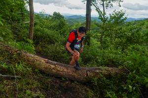 BIB: 
                            <button type="button" onclick="openModal(18513349)" class="btn btn-primary btn-sm float-right btn-popup" data-toggle="modal" data-target=".modal-high-quality">
                        <i class="fas fa-shopping-cart"></i> Add to Cart
                    </button>
                                            <button type="button" onclick="isThisMe(18513349, true)" class="btn btn-success btn-sm float-right btn-popup btn-isme hidden" data-toggle="tooltip" data-placement="bottom" title="นี่คือรูปของคุณใช่ไหม คลิกที่นี่เพื่อเอาเข้าอัลบั้ม">
                        <i class="fas fa-plus"></i> Add to album
                    </button>
                    <button type="button" onclick="isThisMe(18513349, false)" class="btn btn-warning btn-sm float-right btn-popup btn-isnotme hidden">
                        <i class="fas fa-ban"></i> Remove from album
                    </button>