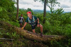 BIB: 
                            <button type="button" onclick="openModal(18513361)" class="btn btn-primary btn-sm float-right btn-popup" data-toggle="modal" data-target=".modal-high-quality">
                        <i class="fas fa-shopping-cart"></i> Add to Cart
                    </button>
                                            <button type="button" onclick="isThisMe(18513361, true)" class="btn btn-success btn-sm float-right btn-popup btn-isme hidden" data-toggle="tooltip" data-placement="bottom" title="นี่คือรูปของคุณใช่ไหม คลิกที่นี่เพื่อเอาเข้าอัลบั้ม">
                        <i class="fas fa-plus"></i> Add to album
                    </button>
                    <button type="button" onclick="isThisMe(18513361, false)" class="btn btn-warning btn-sm float-right btn-popup btn-isnotme hidden">
                        <i class="fas fa-ban"></i> Remove from album
                    </button>