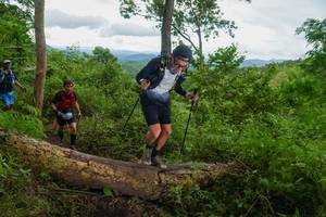 BIB: 
                            <button type="button" onclick="openModal(18513525)" class="btn btn-primary btn-sm float-right btn-popup" data-toggle="modal" data-target=".modal-high-quality">
                        <i class="fas fa-shopping-cart"></i> Add to Cart
                    </button>
                                            <button type="button" onclick="isThisMe(18513525, true)" class="btn btn-success btn-sm float-right btn-popup btn-isme hidden" data-toggle="tooltip" data-placement="bottom" title="นี่คือรูปของคุณใช่ไหม คลิกที่นี่เพื่อเอาเข้าอัลบั้ม">
                        <i class="fas fa-plus"></i> Add to album
                    </button>
                    <button type="button" onclick="isThisMe(18513525, false)" class="btn btn-warning btn-sm float-right btn-popup btn-isnotme hidden">
                        <i class="fas fa-ban"></i> Remove from album
                    </button>