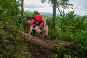 BIB: 
                            <button type="button" onclick="openModal(18513664)" class="btn btn-primary btn-sm float-right btn-popup" data-toggle="modal" data-target=".modal-high-quality">
                        <i class="fas fa-shopping-cart"></i> Add to Cart
                    </button>
                                            <button type="button" onclick="isThisMe(18513664, true)" class="btn btn-success btn-sm float-right btn-popup btn-isme hidden" data-toggle="tooltip" data-placement="bottom" title="นี่คือรูปของคุณใช่ไหม คลิกที่นี่เพื่อเอาเข้าอัลบั้ม">
                        <i class="fas fa-plus"></i> Add to album
                    </button>
                    <button type="button" onclick="isThisMe(18513664, false)" class="btn btn-warning btn-sm float-right btn-popup btn-isnotme hidden">
                        <i class="fas fa-ban"></i> Remove from album
                    </button>