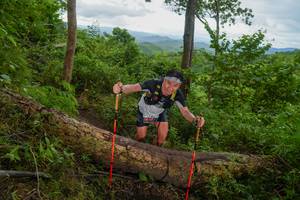 BIB: 
                            <button type="button" onclick="openModal(18513677)" class="btn btn-primary btn-sm float-right btn-popup" data-toggle="modal" data-target=".modal-high-quality">
                        <i class="fas fa-shopping-cart"></i> Add to Cart
                    </button>
                                            <button type="button" onclick="isThisMe(18513677, true)" class="btn btn-success btn-sm float-right btn-popup btn-isme hidden" data-toggle="tooltip" data-placement="bottom" title="นี่คือรูปของคุณใช่ไหม คลิกที่นี่เพื่อเอาเข้าอัลบั้ม">
                        <i class="fas fa-plus"></i> Add to album
                    </button>
                    <button type="button" onclick="isThisMe(18513677, false)" class="btn btn-warning btn-sm float-right btn-popup btn-isnotme hidden">
                        <i class="fas fa-ban"></i> Remove from album
                    </button>