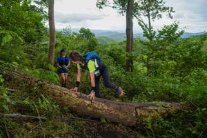 BIB: 
                            <button type="button" onclick="openModal(18513667)" class="btn btn-primary btn-sm float-right btn-popup" data-toggle="modal" data-target=".modal-high-quality">
                        <i class="fas fa-shopping-cart"></i> Add to Cart
                    </button>
                                            <button type="button" onclick="isThisMe(18513667, true)" class="btn btn-success btn-sm float-right btn-popup btn-isme hidden" data-toggle="tooltip" data-placement="bottom" title="นี่คือรูปของคุณใช่ไหม คลิกที่นี่เพื่อเอาเข้าอัลบั้ม">
                        <i class="fas fa-plus"></i> Add to album
                    </button>
                    <button type="button" onclick="isThisMe(18513667, false)" class="btn btn-warning btn-sm float-right btn-popup btn-isnotme hidden">
                        <i class="fas fa-ban"></i> Remove from album
                    </button>