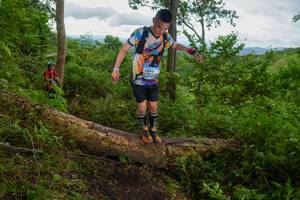 BIB: 
                            <button type="button" onclick="openModal(18513547)" class="btn btn-primary btn-sm float-right btn-popup" data-toggle="modal" data-target=".modal-high-quality">
                        <i class="fas fa-shopping-cart"></i> Add to Cart
                    </button>
                                            <button type="button" onclick="isThisMe(18513547, true)" class="btn btn-success btn-sm float-right btn-popup btn-isme hidden" data-toggle="tooltip" data-placement="bottom" title="นี่คือรูปของคุณใช่ไหม คลิกที่นี่เพื่อเอาเข้าอัลบั้ม">
                        <i class="fas fa-plus"></i> Add to album
                    </button>
                    <button type="button" onclick="isThisMe(18513547, false)" class="btn btn-warning btn-sm float-right btn-popup btn-isnotme hidden">
                        <i class="fas fa-ban"></i> Remove from album
                    </button>