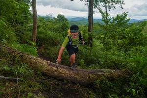 BIB: 
                            <button type="button" onclick="openModal(18513331)" class="btn btn-primary btn-sm float-right btn-popup" data-toggle="modal" data-target=".modal-high-quality">
                        <i class="fas fa-shopping-cart"></i> Add to Cart
                    </button>
                                            <button type="button" onclick="isThisMe(18513331, true)" class="btn btn-success btn-sm float-right btn-popup btn-isme hidden" data-toggle="tooltip" data-placement="bottom" title="นี่คือรูปของคุณใช่ไหม คลิกที่นี่เพื่อเอาเข้าอัลบั้ม">
                        <i class="fas fa-plus"></i> Add to album
                    </button>
                    <button type="button" onclick="isThisMe(18513331, false)" class="btn btn-warning btn-sm float-right btn-popup btn-isnotme hidden">
                        <i class="fas fa-ban"></i> Remove from album
                    </button>