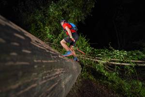 BIB: 
                            <button type="button" onclick="openModal(18511560)" class="btn btn-primary btn-sm float-right btn-popup" data-toggle="modal" data-target=".modal-high-quality">
                        <i class="fas fa-shopping-cart"></i> Add to Cart
                    </button>
                                            <button type="button" onclick="isThisMe(18511560, true)" class="btn btn-success btn-sm float-right btn-popup btn-isme hidden" data-toggle="tooltip" data-placement="bottom" title="นี่คือรูปของคุณใช่ไหม คลิกที่นี่เพื่อเอาเข้าอัลบั้ม">
                        <i class="fas fa-plus"></i> Add to album
                    </button>
                    <button type="button" onclick="isThisMe(18511560, false)" class="btn btn-warning btn-sm float-right btn-popup btn-isnotme hidden">
                        <i class="fas fa-ban"></i> Remove from album
                    </button>