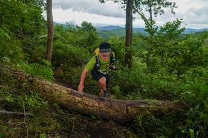 BIB: 
                            <button type="button" onclick="openModal(18513332)" class="btn btn-primary btn-sm float-right btn-popup" data-toggle="modal" data-target=".modal-high-quality">
                        <i class="fas fa-shopping-cart"></i> Add to Cart
                    </button>
                                            <button type="button" onclick="isThisMe(18513332, true)" class="btn btn-success btn-sm float-right btn-popup btn-isme hidden" data-toggle="tooltip" data-placement="bottom" title="นี่คือรูปของคุณใช่ไหม คลิกที่นี่เพื่อเอาเข้าอัลบั้ม">
                        <i class="fas fa-plus"></i> Add to album
                    </button>
                    <button type="button" onclick="isThisMe(18513332, false)" class="btn btn-warning btn-sm float-right btn-popup btn-isnotme hidden">
                        <i class="fas fa-ban"></i> Remove from album
                    </button>