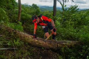 BIB: 
                            <button type="button" onclick="openModal(18513365)" class="btn btn-primary btn-sm float-right btn-popup" data-toggle="modal" data-target=".modal-high-quality">
                        <i class="fas fa-shopping-cart"></i> Add to Cart
                    </button>
                                            <button type="button" onclick="isThisMe(18513365, true)" class="btn btn-success btn-sm float-right btn-popup btn-isme hidden" data-toggle="tooltip" data-placement="bottom" title="นี่คือรูปของคุณใช่ไหม คลิกที่นี่เพื่อเอาเข้าอัลบั้ม">
                        <i class="fas fa-plus"></i> Add to album
                    </button>
                    <button type="button" onclick="isThisMe(18513365, false)" class="btn btn-warning btn-sm float-right btn-popup btn-isnotme hidden">
                        <i class="fas fa-ban"></i> Remove from album
                    </button>