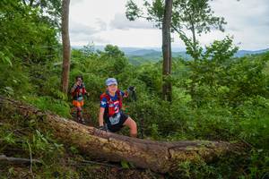 BIB: 
                            <button type="button" onclick="openModal(18513724)" class="btn btn-primary btn-sm float-right btn-popup" data-toggle="modal" data-target=".modal-high-quality">
                        <i class="fas fa-shopping-cart"></i> Add to Cart
                    </button>
                                            <button type="button" onclick="isThisMe(18513724, true)" class="btn btn-success btn-sm float-right btn-popup btn-isme hidden" data-toggle="tooltip" data-placement="bottom" title="นี่คือรูปของคุณใช่ไหม คลิกที่นี่เพื่อเอาเข้าอัลบั้ม">
                        <i class="fas fa-plus"></i> Add to album
                    </button>
                    <button type="button" onclick="isThisMe(18513724, false)" class="btn btn-warning btn-sm float-right btn-popup btn-isnotme hidden">
                        <i class="fas fa-ban"></i> Remove from album
                    </button>