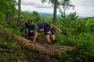 BIB: 
                            <button type="button" onclick="openModal(18513553)" class="btn btn-primary btn-sm float-right btn-popup" data-toggle="modal" data-target=".modal-high-quality">
                        <i class="fas fa-shopping-cart"></i> Add to Cart
                    </button>
                                            <button type="button" onclick="isThisMe(18513553, true)" class="btn btn-success btn-sm float-right btn-popup btn-isme hidden" data-toggle="tooltip" data-placement="bottom" title="นี่คือรูปของคุณใช่ไหม คลิกที่นี่เพื่อเอาเข้าอัลบั้ม">
                        <i class="fas fa-plus"></i> Add to album
                    </button>
                    <button type="button" onclick="isThisMe(18513553, false)" class="btn btn-warning btn-sm float-right btn-popup btn-isnotme hidden">
                        <i class="fas fa-ban"></i> Remove from album
                    </button>