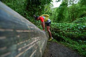 BIB: 
                            <button type="button" onclick="openModal(18513046)" class="btn btn-primary btn-sm float-right btn-popup" data-toggle="modal" data-target=".modal-high-quality">
                        <i class="fas fa-shopping-cart"></i> Add to Cart
                    </button>
                                            <button type="button" onclick="isThisMe(18513046, true)" class="btn btn-success btn-sm float-right btn-popup btn-isme hidden" data-toggle="tooltip" data-placement="bottom" title="นี่คือรูปของคุณใช่ไหม คลิกที่นี่เพื่อเอาเข้าอัลบั้ม">
                        <i class="fas fa-plus"></i> Add to album
                    </button>
                    <button type="button" onclick="isThisMe(18513046, false)" class="btn btn-warning btn-sm float-right btn-popup btn-isnotme hidden">
                        <i class="fas fa-ban"></i> Remove from album
                    </button>