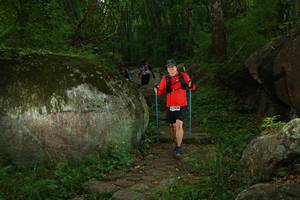 BIB: 
                            <button type="button" onclick="openModal(18487449)" class="btn btn-primary btn-sm float-right btn-popup" data-toggle="modal" data-target=".modal-high-quality">
                        <i class="fas fa-shopping-cart"></i> Add to Cart
                    </button>
                                            <button type="button" onclick="isThisMe(18487449, true)" class="btn btn-success btn-sm float-right btn-popup btn-isme hidden" data-toggle="tooltip" data-placement="bottom" title="นี่คือรูปของคุณใช่ไหม คลิกที่นี่เพื่อเอาเข้าอัลบั้ม">
                        <i class="fas fa-plus"></i> Add to album
                    </button>
                    <button type="button" onclick="isThisMe(18487449, false)" class="btn btn-warning btn-sm float-right btn-popup btn-isnotme hidden">
                        <i class="fas fa-ban"></i> Remove from album
                    </button>