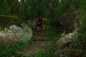 BIB: 
                            <button type="button" onclick="openModal(18486759)" class="btn btn-primary btn-sm float-right btn-popup" data-toggle="modal" data-target=".modal-high-quality">
                        <i class="fas fa-shopping-cart"></i> Add to Cart
                    </button>
                                            <button type="button" onclick="isThisMe(18486759, true)" class="btn btn-success btn-sm float-right btn-popup btn-isme hidden" data-toggle="tooltip" data-placement="bottom" title="นี่คือรูปของคุณใช่ไหม คลิกที่นี่เพื่อเอาเข้าอัลบั้ม">
                        <i class="fas fa-plus"></i> Add to album
                    </button>
                    <button type="button" onclick="isThisMe(18486759, false)" class="btn btn-warning btn-sm float-right btn-popup btn-isnotme hidden">
                        <i class="fas fa-ban"></i> Remove from album
                    </button>