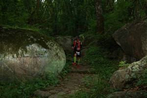 BIB: 
                            <button type="button" onclick="openModal(18484639)" class="btn btn-primary btn-sm float-right btn-popup" data-toggle="modal" data-target=".modal-high-quality">
                        <i class="fas fa-shopping-cart"></i> Add to Cart
                    </button>
                                            <button type="button" onclick="isThisMe(18484639, true)" class="btn btn-success btn-sm float-right btn-popup btn-isme hidden" data-toggle="tooltip" data-placement="bottom" title="นี่คือรูปของคุณใช่ไหม คลิกที่นี่เพื่อเอาเข้าอัลบั้ม">
                        <i class="fas fa-plus"></i> Add to album
                    </button>
                    <button type="button" onclick="isThisMe(18484639, false)" class="btn btn-warning btn-sm float-right btn-popup btn-isnotme hidden">
                        <i class="fas fa-ban"></i> Remove from album
                    </button>