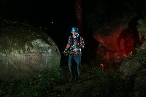 BIB: 
                            <button type="button" onclick="openModal(18477425)" class="btn btn-primary btn-sm float-right btn-popup" data-toggle="modal" data-target=".modal-high-quality">
                        <i class="fas fa-shopping-cart"></i> Add to Cart
                    </button>
                                            <button type="button" onclick="isThisMe(18477425, true)" class="btn btn-success btn-sm float-right btn-popup btn-isme hidden" data-toggle="tooltip" data-placement="bottom" title="นี่คือรูปของคุณใช่ไหม คลิกที่นี่เพื่อเอาเข้าอัลบั้ม">
                        <i class="fas fa-plus"></i> Add to album
                    </button>
                    <button type="button" onclick="isThisMe(18477425, false)" class="btn btn-warning btn-sm float-right btn-popup btn-isnotme hidden">
                        <i class="fas fa-ban"></i> Remove from album
                    </button>