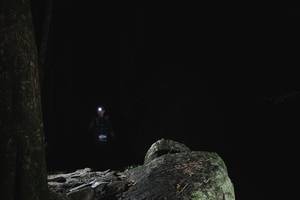 BIB: 
                            <button type="button" onclick="openModal(18535681)" class="btn btn-primary btn-sm float-right btn-popup" data-toggle="modal" data-target=".modal-high-quality">
                        <i class="fas fa-shopping-cart"></i> Add to Cart
                    </button>
                                            <button type="button" onclick="isThisMe(18535681, true)" class="btn btn-success btn-sm float-right btn-popup btn-isme hidden" data-toggle="tooltip" data-placement="bottom" title="นี่คือรูปของคุณใช่ไหม คลิกที่นี่เพื่อเอาเข้าอัลบั้ม">
                        <i class="fas fa-plus"></i> Add to album
                    </button>
                    <button type="button" onclick="isThisMe(18535681, false)" class="btn btn-warning btn-sm float-right btn-popup btn-isnotme hidden">
                        <i class="fas fa-ban"></i> Remove from album
                    </button>