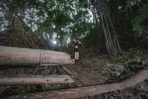 BIB: 
                            <button type="button" onclick="openModal(18536362)" class="btn btn-primary btn-sm float-right btn-popup" data-toggle="modal" data-target=".modal-high-quality">
                        <i class="fas fa-shopping-cart"></i> Add to Cart
                    </button>
                                            <button type="button" onclick="isThisMe(18536362, true)" class="btn btn-success btn-sm float-right btn-popup btn-isme hidden" data-toggle="tooltip" data-placement="bottom" title="นี่คือรูปของคุณใช่ไหม คลิกที่นี่เพื่อเอาเข้าอัลบั้ม">
                        <i class="fas fa-plus"></i> Add to album
                    </button>
                    <button type="button" onclick="isThisMe(18536362, false)" class="btn btn-warning btn-sm float-right btn-popup btn-isnotme hidden">
                        <i class="fas fa-ban"></i> Remove from album
                    </button>