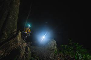 BIB: 
                            <button type="button" onclick="openModal(18534875)" class="btn btn-primary btn-sm float-right btn-popup" data-toggle="modal" data-target=".modal-high-quality">
                        <i class="fas fa-shopping-cart"></i> Add to Cart
                    </button>
                                            <button type="button" onclick="isThisMe(18534875, true)" class="btn btn-success btn-sm float-right btn-popup btn-isme hidden" data-toggle="tooltip" data-placement="bottom" title="นี่คือรูปของคุณใช่ไหม คลิกที่นี่เพื่อเอาเข้าอัลบั้ม">
                        <i class="fas fa-plus"></i> Add to album
                    </button>
                    <button type="button" onclick="isThisMe(18534875, false)" class="btn btn-warning btn-sm float-right btn-popup btn-isnotme hidden">
                        <i class="fas fa-ban"></i> Remove from album
                    </button>