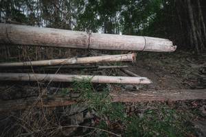 BIB: 
                            <button type="button" onclick="openModal(18536300)" class="btn btn-primary btn-sm float-right btn-popup" data-toggle="modal" data-target=".modal-high-quality">
                        <i class="fas fa-shopping-cart"></i> Add to Cart
                    </button>
                                            <button type="button" onclick="isThisMe(18536300, true)" class="btn btn-success btn-sm float-right btn-popup btn-isme hidden" data-toggle="tooltip" data-placement="bottom" title="นี่คือรูปของคุณใช่ไหม คลิกที่นี่เพื่อเอาเข้าอัลบั้ม">
                        <i class="fas fa-plus"></i> Add to album
                    </button>
                    <button type="button" onclick="isThisMe(18536300, false)" class="btn btn-warning btn-sm float-right btn-popup btn-isnotme hidden">
                        <i class="fas fa-ban"></i> Remove from album
                    </button>