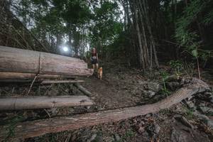 BIB: 
                            <button type="button" onclick="openModal(18536386)" class="btn btn-primary btn-sm float-right btn-popup" data-toggle="modal" data-target=".modal-high-quality">
                        <i class="fas fa-shopping-cart"></i> Add to Cart
                    </button>
                                            <button type="button" onclick="isThisMe(18536386, true)" class="btn btn-success btn-sm float-right btn-popup btn-isme hidden" data-toggle="tooltip" data-placement="bottom" title="นี่คือรูปของคุณใช่ไหม คลิกที่นี่เพื่อเอาเข้าอัลบั้ม">
                        <i class="fas fa-plus"></i> Add to album
                    </button>
                    <button type="button" onclick="isThisMe(18536386, false)" class="btn btn-warning btn-sm float-right btn-popup btn-isnotme hidden">
                        <i class="fas fa-ban"></i> Remove from album
                    </button>