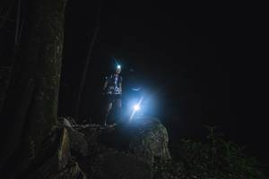 BIB: 
                            <button type="button" onclick="openModal(18535000)" class="btn btn-primary btn-sm float-right btn-popup" data-toggle="modal" data-target=".modal-high-quality">
                        <i class="fas fa-shopping-cart"></i> Add to Cart
                    </button>
                                            <button type="button" onclick="isThisMe(18535000, true)" class="btn btn-success btn-sm float-right btn-popup btn-isme hidden" data-toggle="tooltip" data-placement="bottom" title="นี่คือรูปของคุณใช่ไหม คลิกที่นี่เพื่อเอาเข้าอัลบั้ม">
                        <i class="fas fa-plus"></i> Add to album
                    </button>
                    <button type="button" onclick="isThisMe(18535000, false)" class="btn btn-warning btn-sm float-right btn-popup btn-isnotme hidden">
                        <i class="fas fa-ban"></i> Remove from album
                    </button>